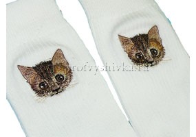 Коты на носках